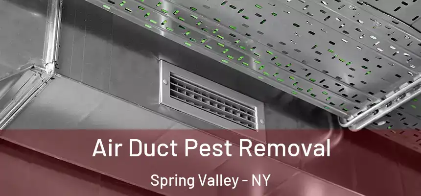  Air Duct Pest Removal Spring Valley - NY