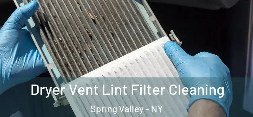  Dryer Vent Lint Filter Cleaning Spring Valley - NY