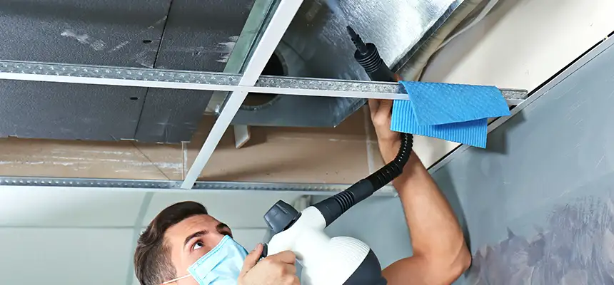 Our Air Duct Rodent Removal Services in Spring Valley, NY