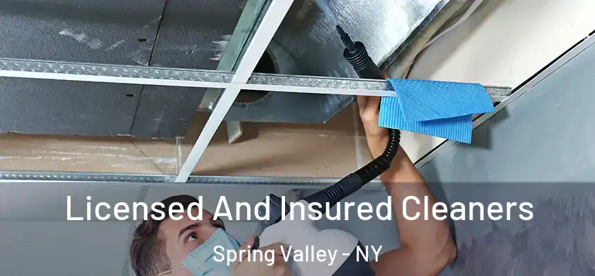  Licensed And Insured Cleaners Spring Valley - NY