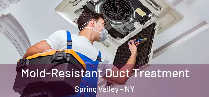  Mold-Resistant Duct Treatment Spring Valley - NY