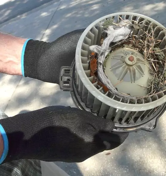 About Air Duct Mice Removal in Spring Valley, NY